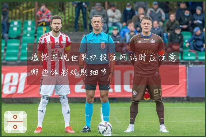 选择正规世界杯投注网站时应注意哪些体彩规则细节