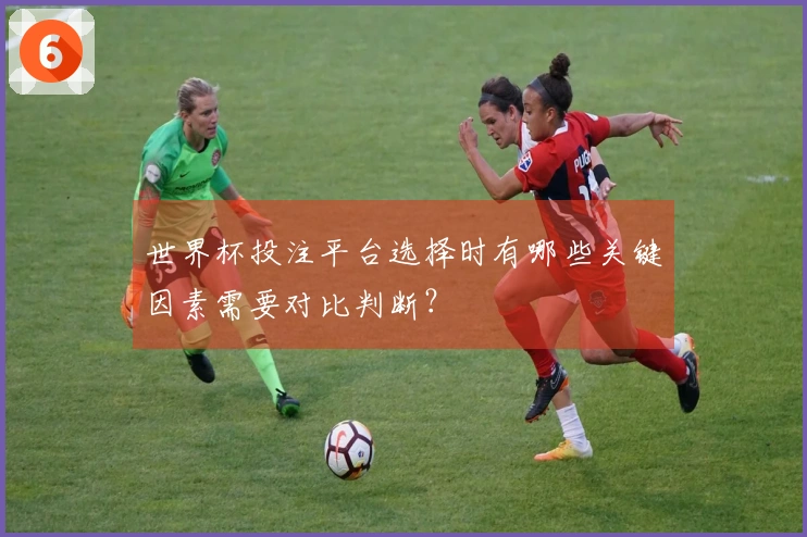 世界杯投注平台选择时有哪些关键因素需要对比判断？
