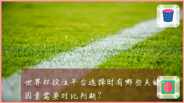 世界杯投注平台选择时有哪些关键因素需要对比判断？