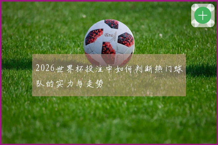 2026世界杯投注中如何判断热门球队的实力与走势