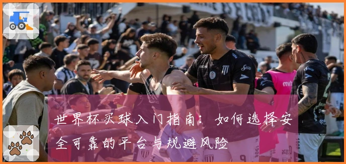 世界杯买球入门指南：如何选择安全可靠的平台与规避风险
